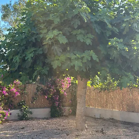 Villa Your Perfect Hideaway Only 5 Minutes From Ibiza *