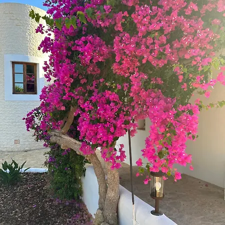 Your Perfect Hideaway Only 5 Minutes From Ibiza Villa *