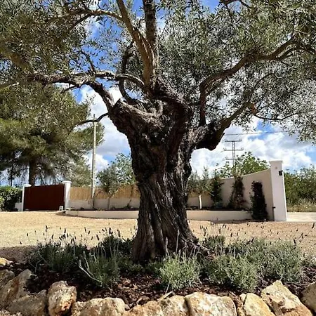 Willa Your Perfect Hideaway Only 5 Minutes From Ibiza *