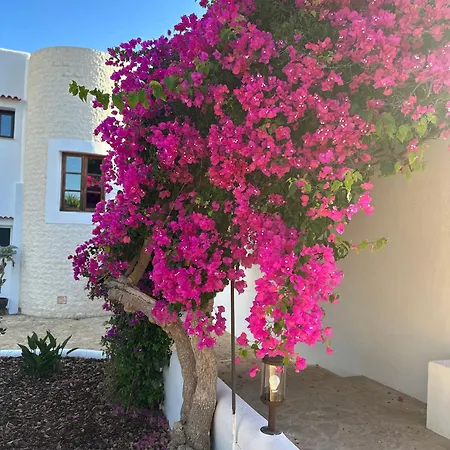 Willa Your Perfect Hideaway Only 5 Minutes From Ibiza Santa Eularia des Riu