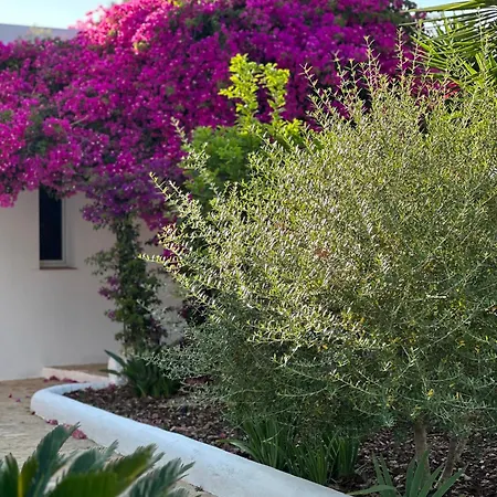 Your Perfect Hideaway Only 5 Minutes From Ibiza Willa